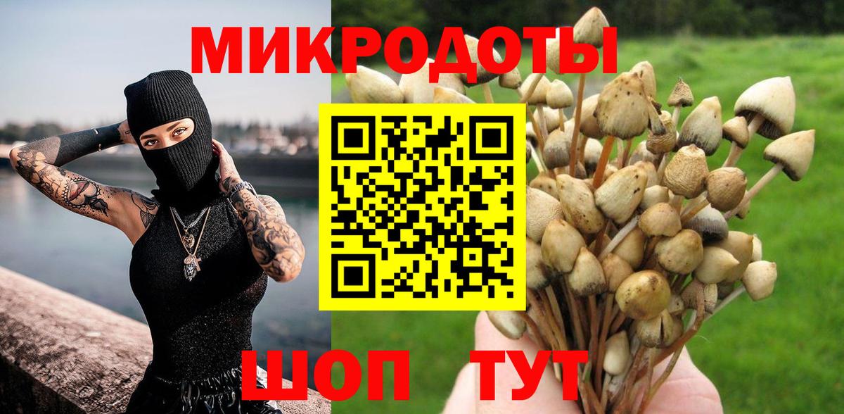 Псилоцибиновые грибы прущие грибы  Галлюциногенные грибы MAGIC MUSHROOMS  Усть-Джегута  Вход с VPN 